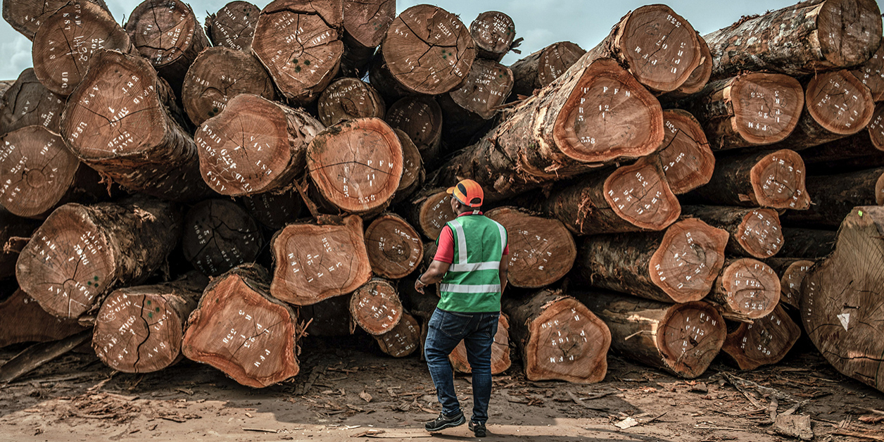Le bois du Gabon désormais traçable grâce au colonel Moris NTOSSUI