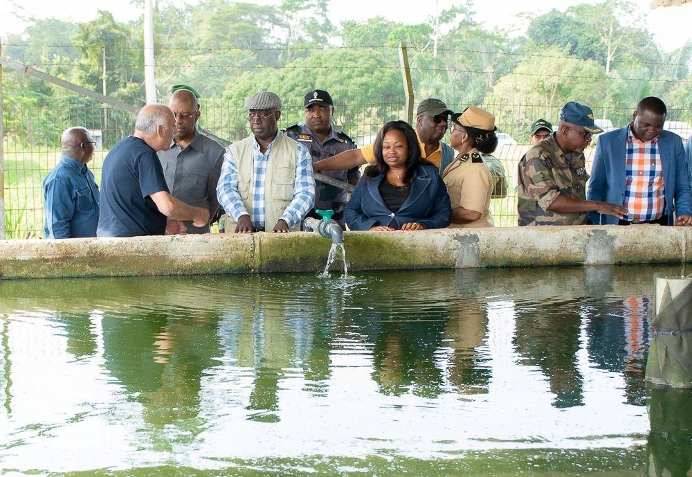 Raymond NDONG SIMA Visite la Ferme Agro-Pastorale de Ntoum.