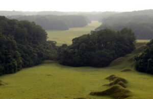 Gabon : cap sur la résilience climatique