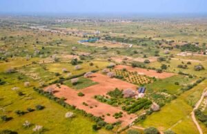 Sénégal : 107 milliards pour l’Agropole Centre