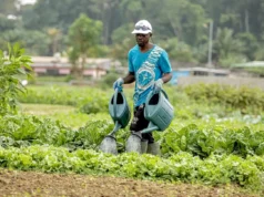 Agriculture : Formation des opérateurs pour la mécanisation