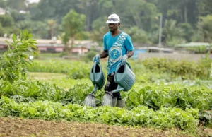Agriculture : Formation des opérateurs pour la mécanisation