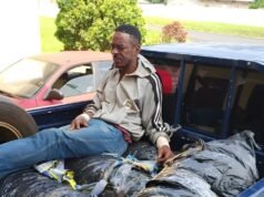 Saisie de 7 kg de cannabis : Action des gendarmes au Haut-Ogooué