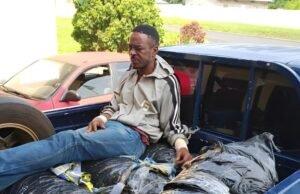 Saisie de 7 kg de cannabis : Action des gendarmes au Haut-Ogooué