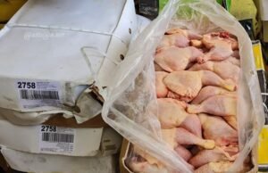 Commerce : 65 milliards de FCFA annuels de volaille importées