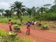 Conflit Homme-Faune : La Réponse Économique