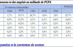 Emploi : La microfinance recrute à tour de bras