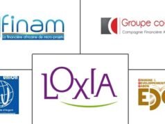 Microfinance : L’hégémonie des « Big Four »