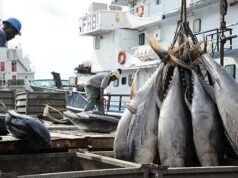 Pêche : Le Gabon remet en cause l’accord avec l’UE