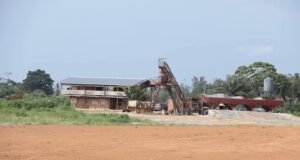 Logistique : Mangali connecte le Sud par la mer