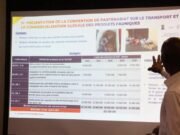 Gabon-Royaume Uni : L’Alliance Verte