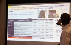 Gabon-Royaume Uni : L’Alliance Verte