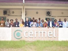 Santé : Le Gabon révolutionné la lutte contre le paludisme