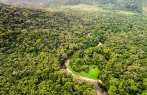 Biodiversité : le 7e rapport du Gabon attebdu aux Nations Unies