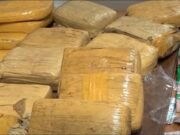 Trafic de drogue : Importante saisie de Skunk à Libreville