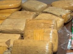 Trafic de drogue : Importante saisie de Skunk à Libreville