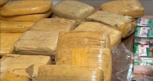 Trafic de drogue : Importante saisie de Skunk à Libreville