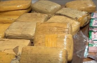 Trafic de drogue : Importante saisie de Skunk à Libreville