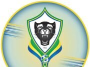 Football/Panthères: 600 prétendants, 1 sélectionneur