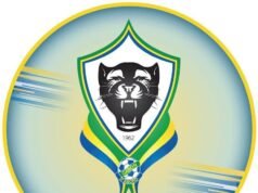 Football/Panthères: 600 prétendants, 1 sélectionneur