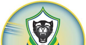 Football/Panthères: 600 prétendants, 1 sélectionneur