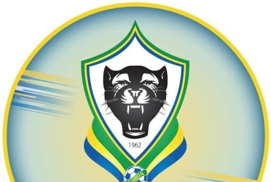 Football/Panthères: 600 prétendants, 1 sélectionneur