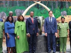 Braconnage : le Gabon renforce la protection de son ivoire