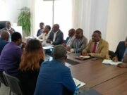 Gabon-BAD : L’industrie à la loupe