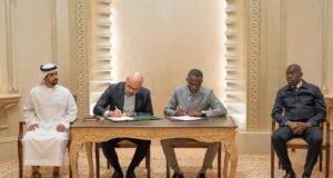 Mines d’or : la forêt en danger ?