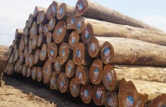 Industries du bois : Un troisième trimestre dans le vert.