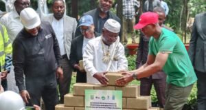 Arboretum Raponda Walker : Un nouveau souffle vert