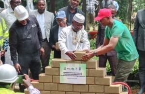 Arboretum Raponda Walker : Un nouveau souffle vert