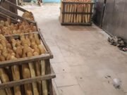Nyanga : Fermeture immédiate d’une boulangerie pour manquements graves aux normes sanitaires