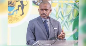 Gabon : le FMI salue les réformes économiques, pas de mesures d’austérité prévues