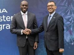 Gabon : champion du numérique en Afrique centrale, mais le défi ne fait que commencer