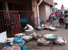 À Port-Gentil, la pêche prend de l’ampleur et ouvre de nouvelles perspectives