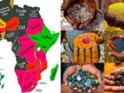 Ressources naturelles : l’Afrique centrale choisit de mieux ancrer ses richesses dans son économie