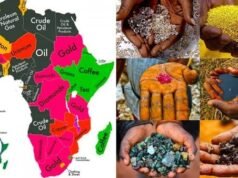Ressources naturelles : l’Afrique centrale choisit de mieux ancrer ses richesses dans son économie