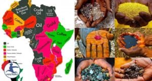 Ressources naturelles : l’Afrique centrale choisit de mieux ancrer ses richesses dans son économie