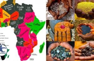 Ressources naturelles : l’Afrique centrale choisit de mieux ancrer ses richesses dans son économie