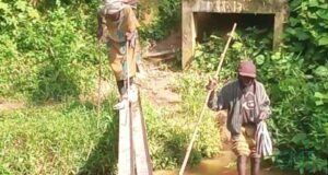 Moabi : à Migamba, une passerelle inachevée met en danger les riverains