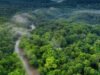 Un Programme Innovant de 1 Milliard USD pour Réinventer l’Économie Forestière du Bassin du Congo