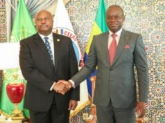 Entre Libreville et Malabo : une frontière qui devient un pont de coopération