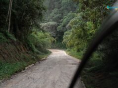 Bifoun–Ndjolé : l’axe oublié où chaque trajet devient un risque