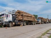 Insécurité routière au Gabon : les grumiers pointés du doigt malgré les mesures de restriction