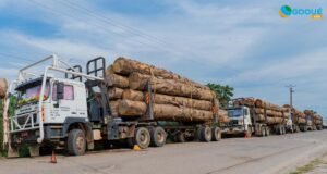 Insécurité routière au Gabon : les grumiers pointés du doigt malgré les mesures de restriction