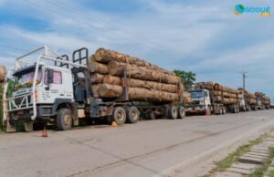 Insécurité routière au Gabon : les grumiers pointés du doigt malgré les mesures de restriction