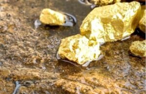 Cameroun : l’État passe à l’offensive contre l’orpaillage illégal et les circuits clandestins