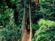 Gabon : Libreville passe à l’offensive pour faire du tourisme un levier économique majeur