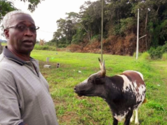 Ndendé : Raymond Ndong Sima défend le projet bovin et répond aux accusations